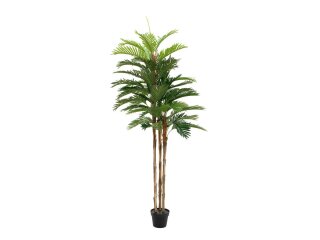 Kentia Palme, Kunstpflanze, 180cm