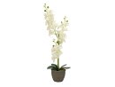 Orchid, artificial plant, cream, 65cm