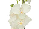 Orchid, artificial plant, cream, 65cm