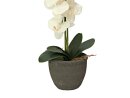 Orchid, artificial plant, cream, 65cm