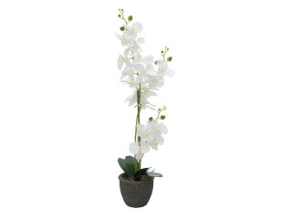 Orchid, artificial plant, white, 65cm