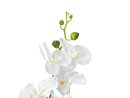 Orchid, artificial plant, white, 65cm