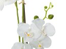 Orchid, artificial plant, white, 65cm