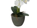 Orchid, artificial plant, white, 65cm