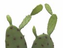 Nopal cactus, artificial plant, 75cm