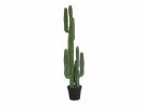 Mexican cactus, artificial plant, green, 123cm