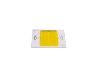 LED COB 50W WW FL-50 (DRD-HW-S101)