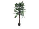 Ficus-Benjamini Multi-Stamm 1116Bl. 150cm