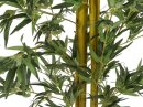 Bambus Multistamm mit Zementtopf 180cm