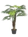 Areca Palme 13 Blätter-Zementtopf 120cm