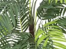 Areca Palme 13 Blätter-Zementtopf 120cm