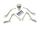 Halloween Skeleton, multipart