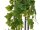 Grape bush, premium, artificial, 100cm