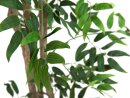 Ficus longifolia, artificial plant, 165cm