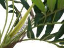 Parlor palm, artificial plant, 150cm