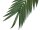 Coconut king palm branch, artificial, 210cm