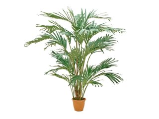 Canary date palm, artificial plant, 240cm