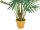 Canary date palm, artificial plant, 240cm