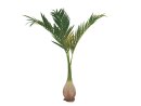 Phoenix palm, artificial plant, 240cm