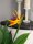 Bird-of-paradise flower, artificial plant, 90cm