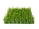 Artificial grass tile, sun, 25x25cm