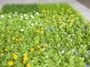 Grass mat, artificial, green-yellow, 25x25cm