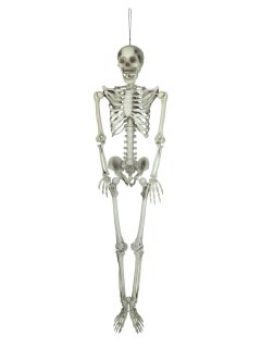 Halloween Skelett, 150 cm