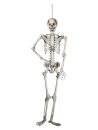 Europalms Halloween Skeleton, 150 cm