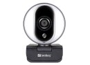 Sandberg 134-12 USB Pro Full-HD Webcam, silber