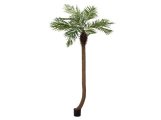 Europalms Phoenix palm tree luxor curved, artificial plant, 240cm