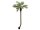 Europalms Phoenix palm tree luxor curved, artificial plant, 240cm