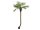 Europalms Phoenix palm tree luxor curved, artificial plant, 240cm