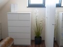 Europalms Jasmin grass, artificial plant, white, 130 cm