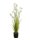 Europalms Jasmin grass, artificial plant, white, 130 cm