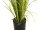 Europalms Jasmin grass, artificial plant, white, 130 cm