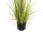 Europalms Evergreen shrub with grass, artificial plant, 120cm