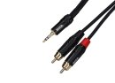 Enova EC-A3-PSMCLM-1 Audio Adapterkabel,1m,1x Miniklinke/2x Cinch