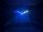 Eurolite LED PST-5 QCL Spot ws
