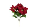 Poinsettia bush, red, 50cm