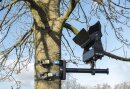Showgear Tree/Pole Mounting Bracket, max. 50kg