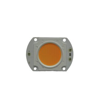 LED COB 100W IP Audience Blinder WW ()