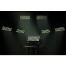 Infinity Raccoon W40/4, LED-Outdoor-Flutscheinwerfer, 40x 15 Watt RGBM-LED, DMX/RDM, IP65