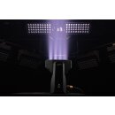 Infinity Raccoon W40/4, LED-Outdoor-Flutscheinwerfer, 40x 15 Watt RGBM-LED, DMX/RDM, IP65