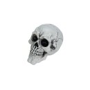 Halloween Skull, 3x