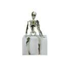 Halloween Skelteton with Moss, 40cm