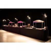 Briteq BTI-Akkupole black, 4x 5 Watt LED Spot 3000K warmweiß, 25°, Beleuchtung für Messestände/Ausstellungsräume/Produktpräsentationen, IP65